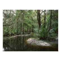 Wendepunkt. Drei Seen W.M.A., Osceola Co., Florida Fotografie
