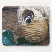 Wenig Black&White Vogel, Mousepad