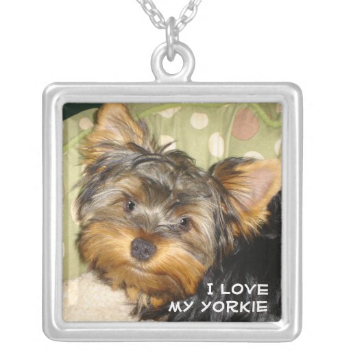 Wenig Yorkie Halsketten