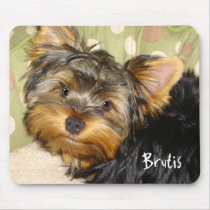Wenig Yorkie Mausunterlage