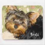 Wenig Yorkie Mausunterlage Mousepads