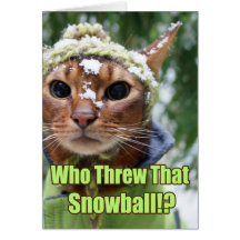 Wer warf diesen Schneeball!? Grußkarte