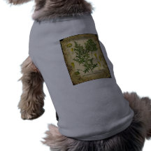 Wermut-botanische Collage Haustierkleidung