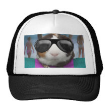 Wertlosmeerschweinchen des Strandes Baseballcaps