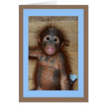 Wertvoller lächelnder Baby-Orang-Utan Grußkarte