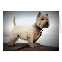 Westhochland-Terrier-Karte