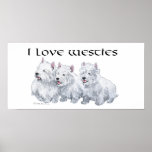 Westhochland-weißer Terrier, Liebe Westies Plakat