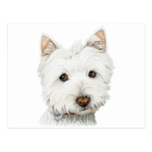 Westhochland-weißes Terrier-Hund Postkarte