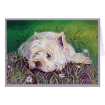 Westhochland-weißes Terrier-Karten