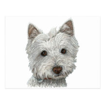 Westie Hund Postkarte