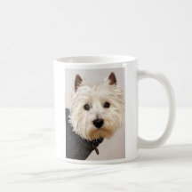 Westie in der Strickjacke auf einem Becher Kaffee Haferl