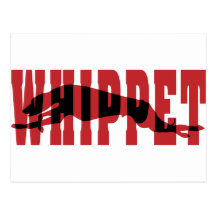 Whippet Silhouette Postkarten