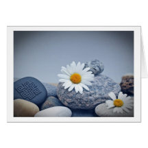 white daisy karten
