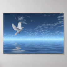 White Dove Plakat
