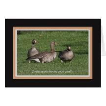 white_fronted_goose_2130 karte