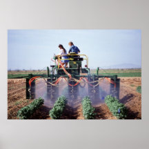 Whitefly-Kontrolle Plakate