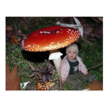 Wichtel - Zwerg unter dem Fliegenpilz Postkarte