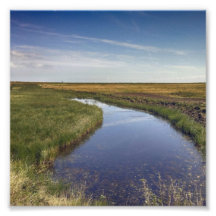 Wicklungs-Fluss durch die Küste Fotodrucke