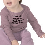 Wie dieses ist, was ein FEMINIST aussieht T-shirt