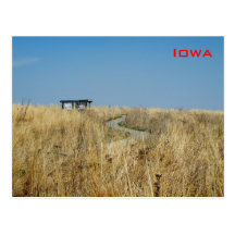 Wiese Postkarte
