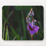 Wiesen-Wildblumen-Tau Mousepad