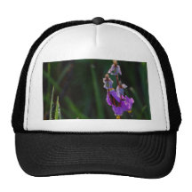 Wiesen-Wildblumen-Tau Truckermützen