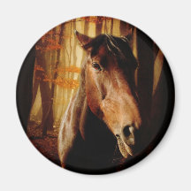 Wild Horses Magnets