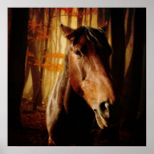 Wild Horses Posterdruck