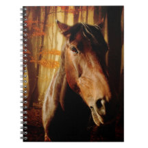 Wild Horses Spiralblöcke