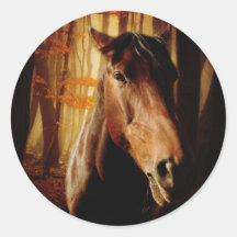 Wild Horses Stickers