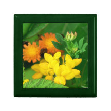 Wildblumen-Geschenk-Kasten Schmuckschachtel