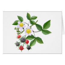 Wilde BlackBerry-Gruß-Karte