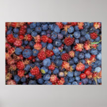 Wilde Blaubeeren Alaskas Poster