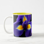 Wilde blaue Iris Kaffee Haferl