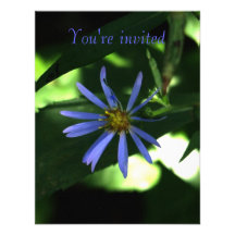 Wilde Blume-ICh Ankündigung