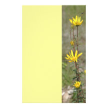 Wilde Gänseblümchen Individuelles Büropapier