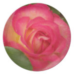 Wilde HimbeerRose mit Blumen Flacher Teller