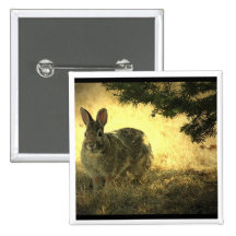 Wilde Kaninchenquadratischer Pin Button