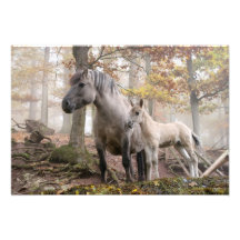 Wilde Pferde Photographischer Druck