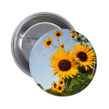Wilde Sonnenblumen Buttons