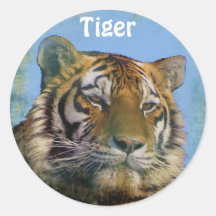 Wilde Tiger-große Katzen-Tier-Aufkleber