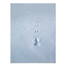 Wilde Vogel-Abdrücke im Schnee Kunstfoto