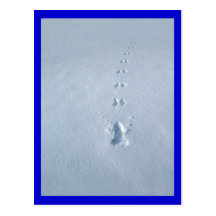 Wilde Vogel-Abdrücke im Schnee Postkarte