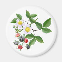 Wilder BlackBerry-Magnet