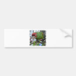Wilder Papagei Autosticker