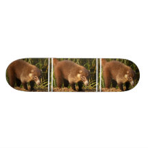 Wildes Coati Mundi Skateboard Individuelle Skateboards