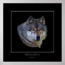 Wildes grauer Wolf-Kunst-Plakat