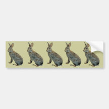 Wildes Kaninchen Autosticker