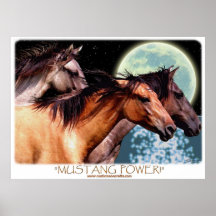 Wildes spanisches Mustang-Pferdephantasie-Kunst-Pl