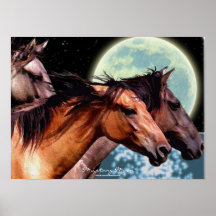 Wildes spanisches Mustang-Pferdephantasie-Kunst-Pl